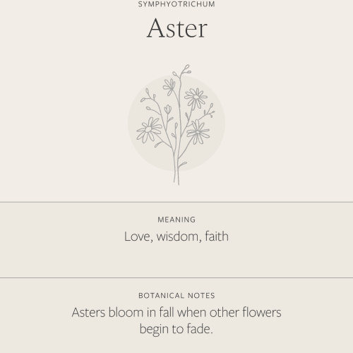 Aster